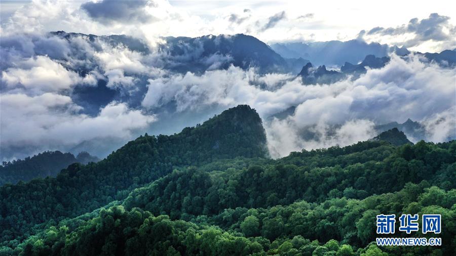 운무로 감싼 우룽둥(五龍洞) 국가삼림공원의 절경을 드론으로 촬영했다.  [사진 출처=신화망] 