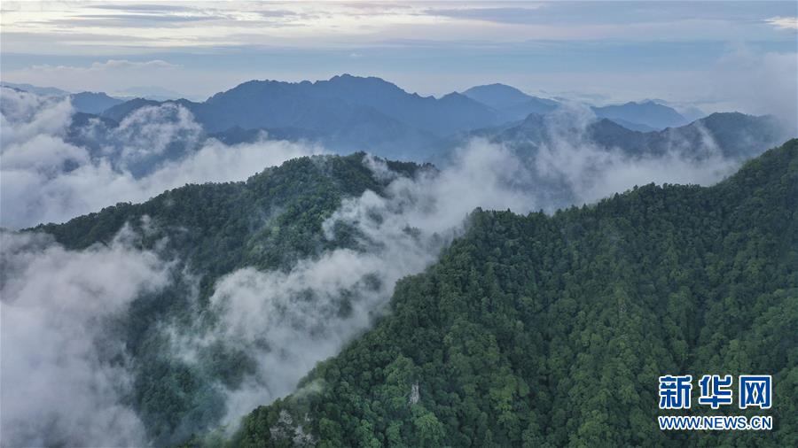 운무로 감싼 우룽둥(五龍洞) 국가삼림공원의 절경을 드론으로 촬영했다.  [사진 출처=신화망] 