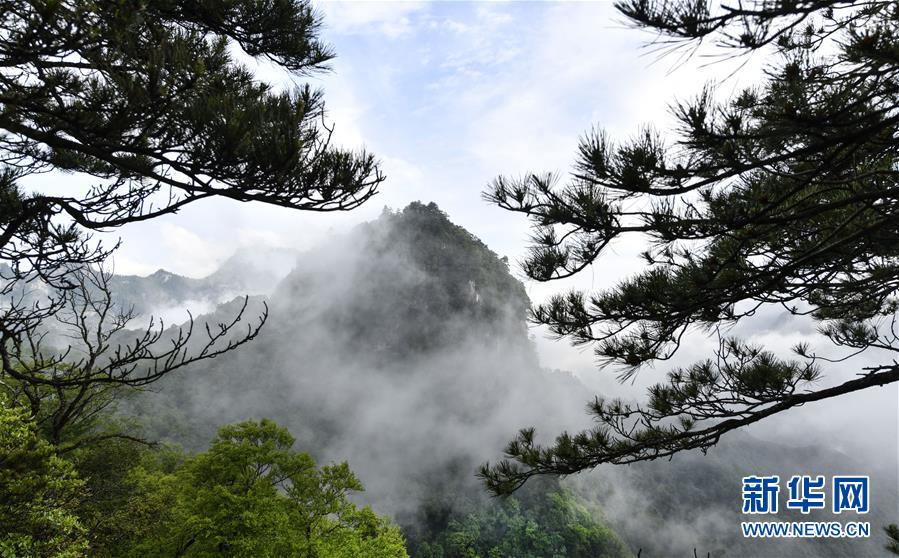 우룽둥(五龍洞) 국가삼림공원 절경  [사진 출처=신화망] 
