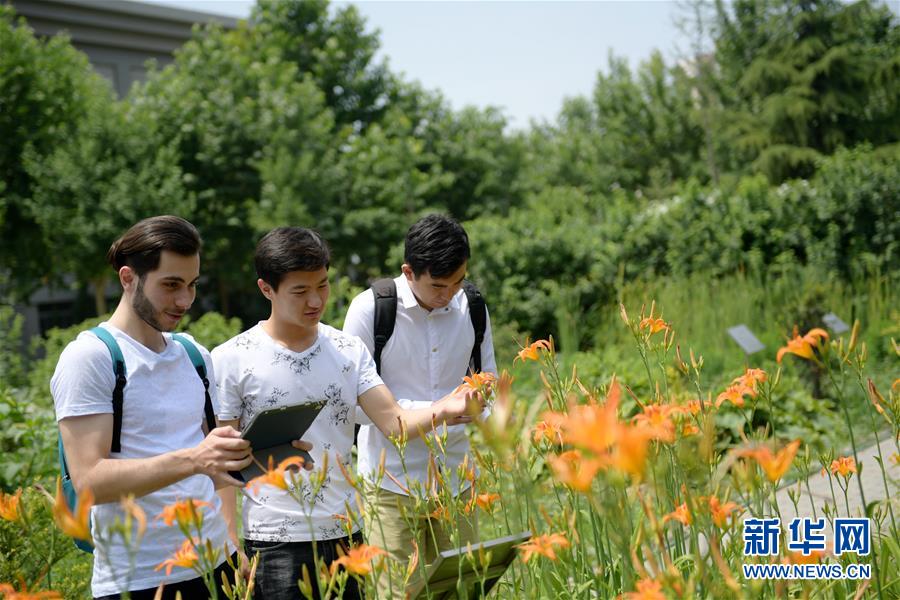 조니(왼쪽 첫 번째)와 학생들이 산시중의약대학교(陜西中醫藥大學) 약용식물원에서 식물을 관찰하고 있다. [사진 출처: 신화망]
