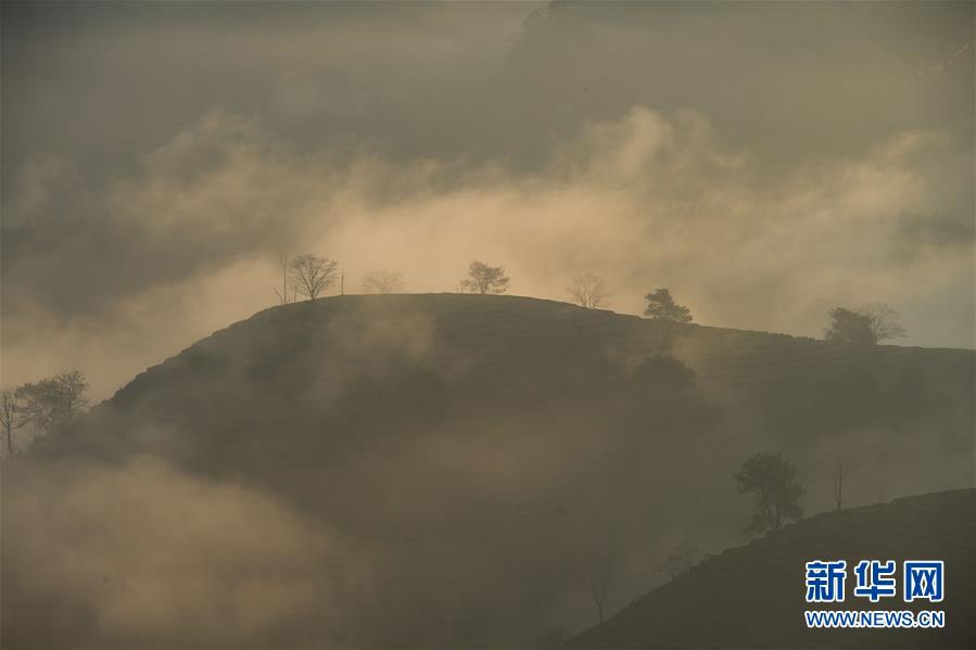 푸젠(福建)성 우이(武夷)산 관광지에서 촬영한 차산(茶山) [사진 출처: 신화망]