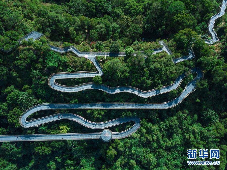 푸저우시(福州) 도시 녹도 프로젝트 일환으로 건설된 ‘푸다오(福道)’ 풍경 [사진 출처: 신화망]