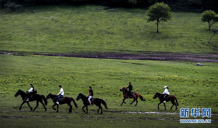 관광객들이 관산(關山)초원에서 말을 타는 모습 [사진 출처: 신화망]