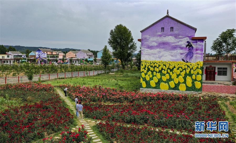 관광객들이 장미 마을에 활짝 핀 꽃을 구경하고 있다. [사진 출처: 신화망]