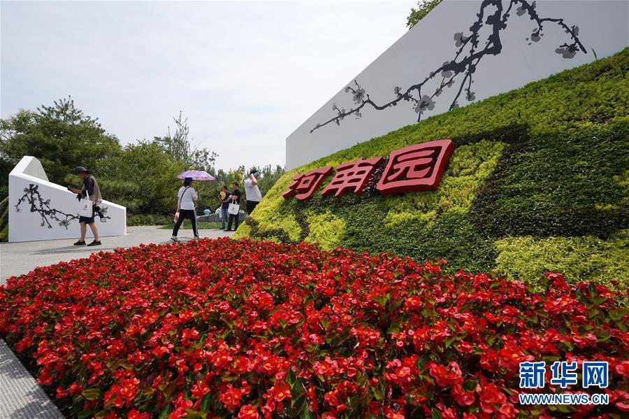 6월 23일 베이징 세계원예박람회 허난(河南)관을 찾은 참관객들의 모습 [사진 출처: 신화망]