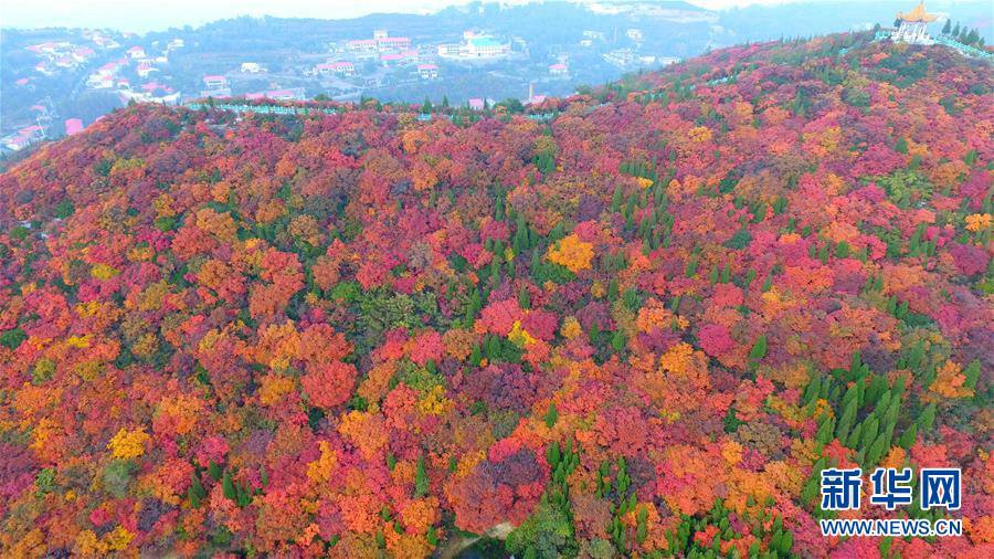 2017년 10월 21일 허난(河南)성 궁이(鞏義)시 칭룽(靑龍)산을 붉게 물들인 단풍 [사진 출처: 신화망]