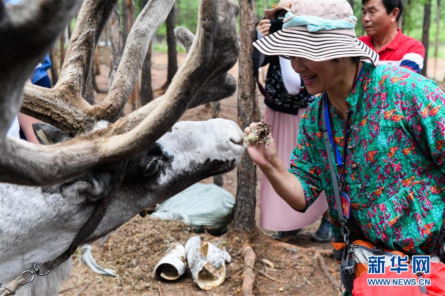 관광객들이 아오루구야(敖魯古雅) 원시부락 관광지에서 동물들과 교감하고 있다. [사진 출처: 신화망]