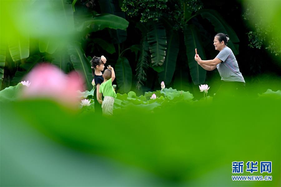 7월 9일, 시민들이 푸저우(福州)시 진산(金山)공원에서 사진을 찍고 있다. [사진 출처: 신화망]