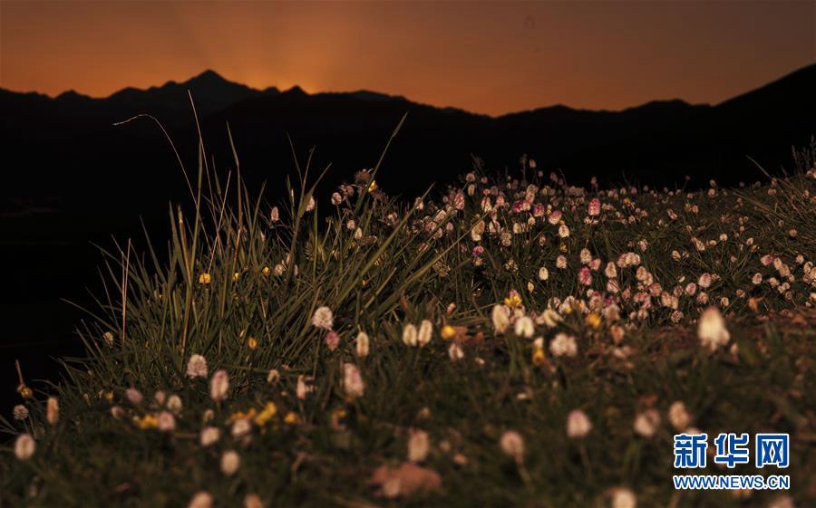 7월 9일 저녁 촬영한 아니마칭(阿尼瑪卿)산 [사진 출처: 신화망]