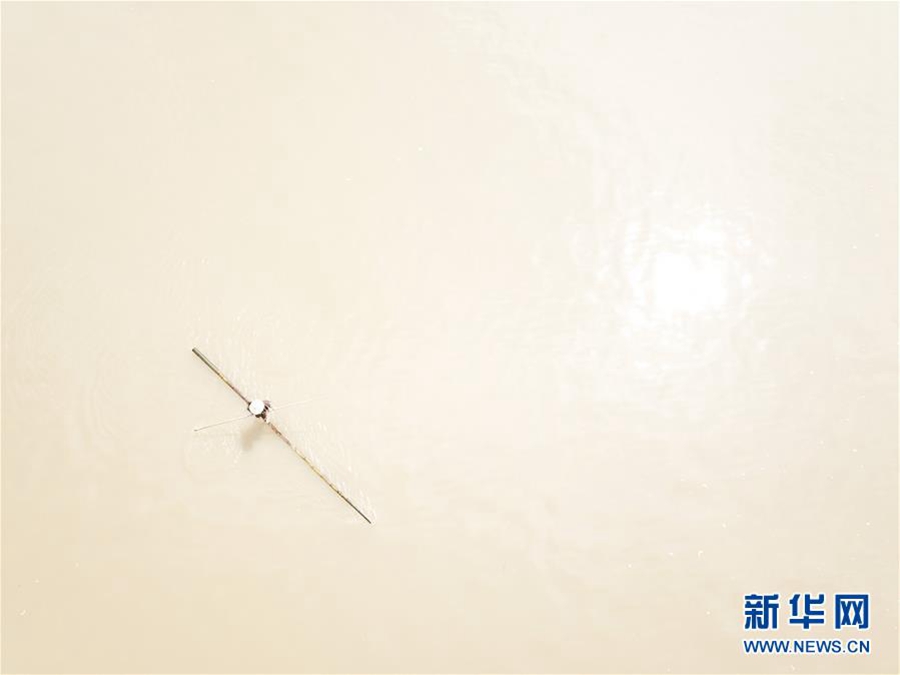 7월 11일 팡수윈(方恕雲) 씨가 죽순대를 타고 신안(新安)강을 건너고 있다. [사진 출처: 신화망]