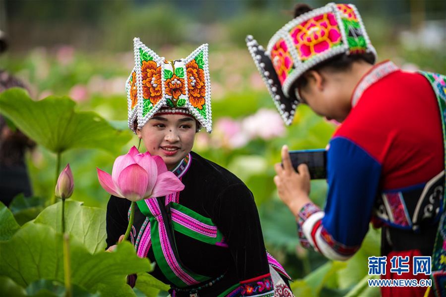 장족(壯族) 여성 펑사오잉(彭紹英, 왼쪽) 씨가 민족 전통의상을 입고 푸저헤이(普者黑) 국가습지공원 연꽃을 배경으로 사진을 찍고 있다. [사진 출처: 신화망]