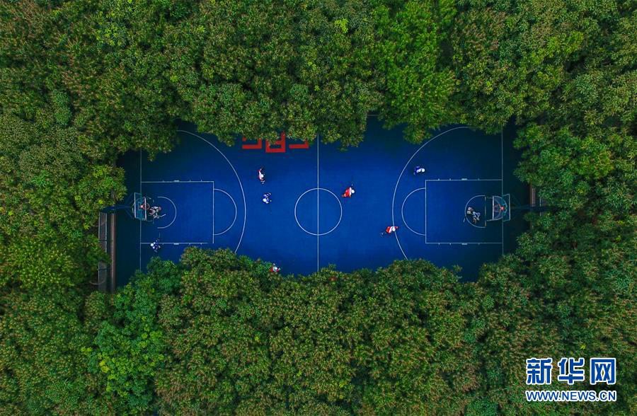 푸르른 나무로 둘러싸인 광저우(廣州)시 제41중•고등학교 운동장 [사진 출처: 신화망]