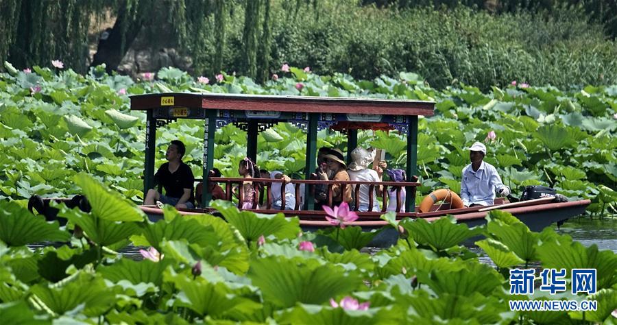 7월 21일 관광객들이 배를 타고 원명원(圓明園) 유적공원의 연꽃을 감상하고 있다. [사진 출처: 신화망]