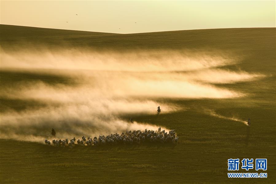7월 21일 기수들이 올가미가 달린 장대로 말 목을 홀치고 있다. [사진 출처: 신화망]
