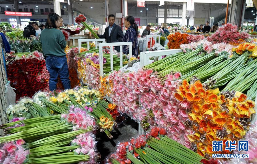 중국에서 가장 큰 꽃시장인 더우난(鬥南) 꽃시장 상인들이 거베라를 정리하는 모습 [7월 9일 촬영/사진 출처: 신화망]