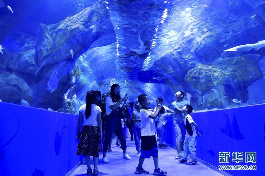 8월 18일, 관광객들이 시닝(西寧)해양세계과학보급관을 참관하고 있다. [사진 출처: 신화망]