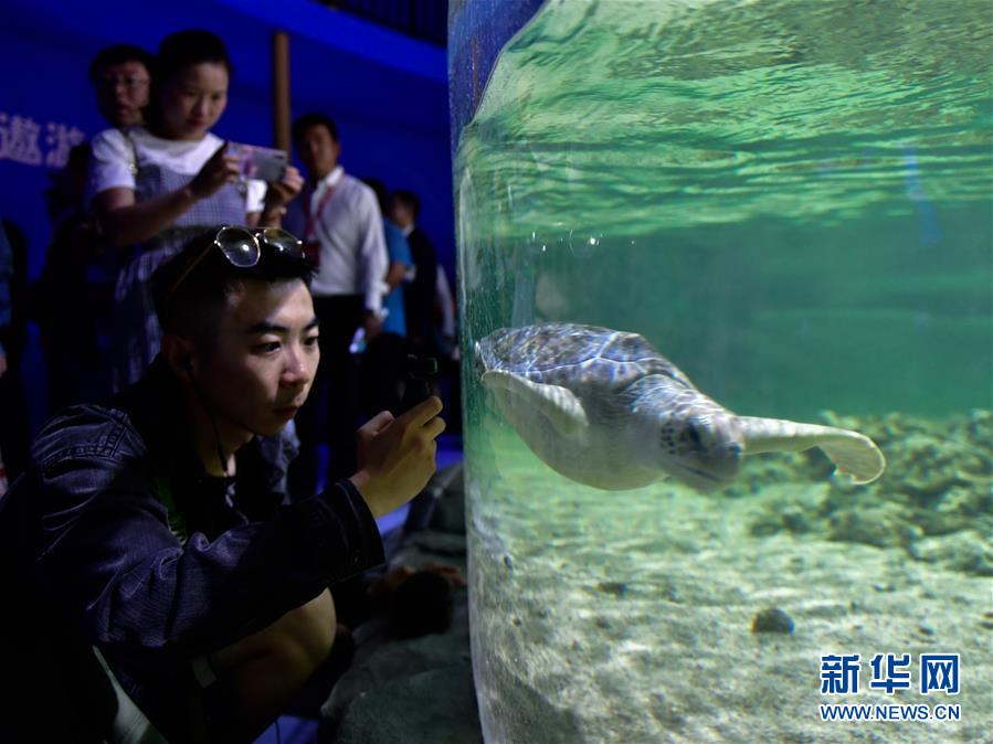8월 18일, 관광객들이 시닝(西寧)해양세계과학보급관을 참관하고 있다. [사진 출처: 신화망]