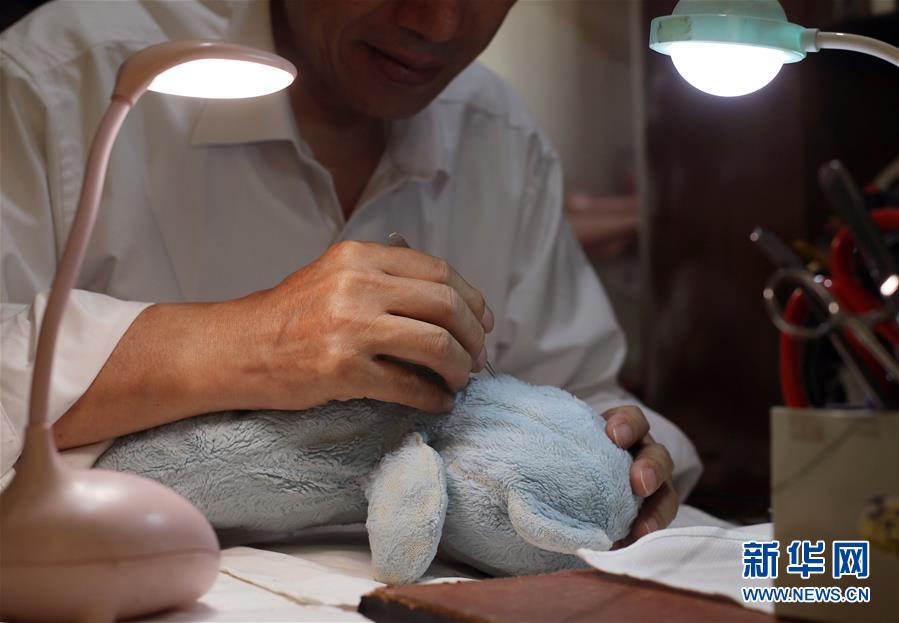 주보밍(朱伯明) 씨가 털이형 뒷부분의 털을 정리하고 있다. [8월 20일 촬영/사진 출처: 신화망]