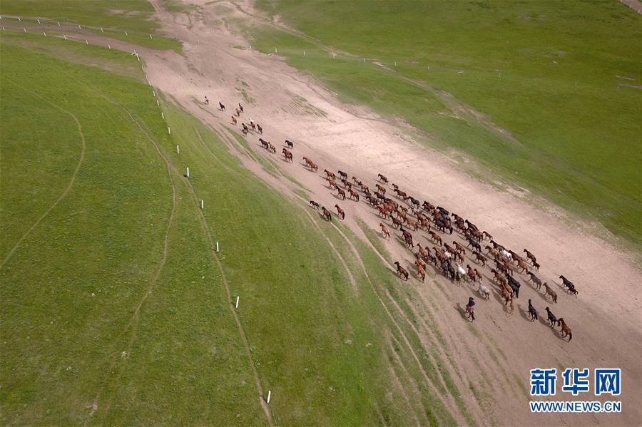 산단(山丹) 마장과 말 떼들 [7월 17일 드론 촬영/사진 출처: 신화망]