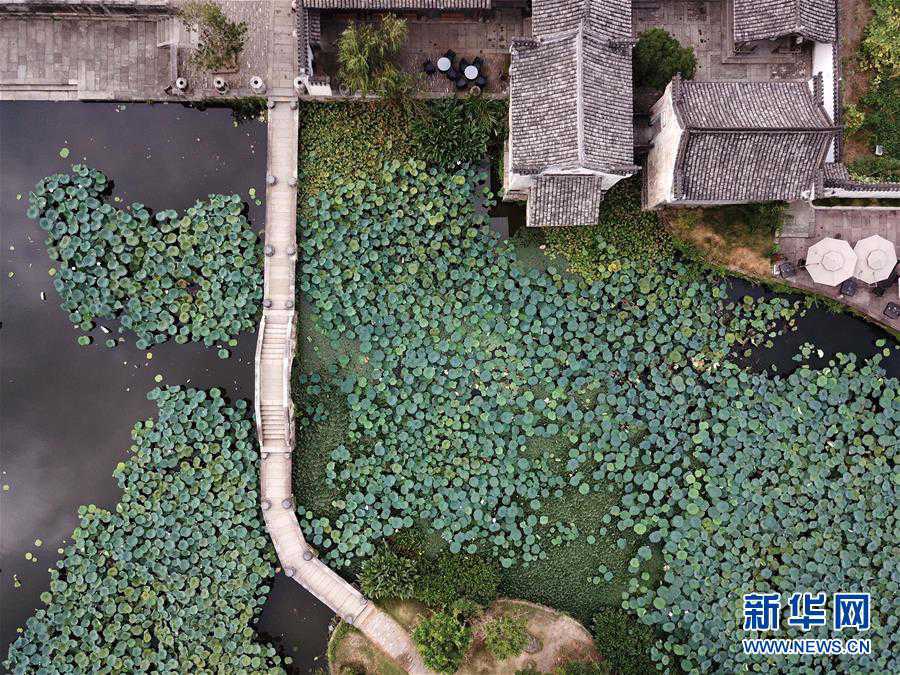 드론으로 촬영한 청칸(呈坎)촌 내 연못 [8월 28일 촬영/사진 출처: 신화망]