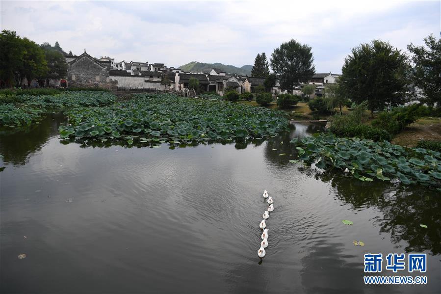 청칸(呈坎)촌 내 연못 [8월 28일 촬영/사진 출처: 신화망]