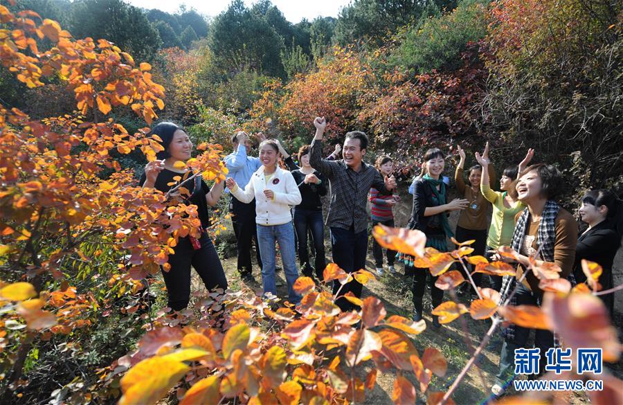 옌안(延安)시 이촨(宜川)현 망터우산(蟒頭山)국가산림공원, 관광객들이 가을 여행을 즐기고 있다. [2009년 10월 15일 촬영/사진 출처: 신화망]