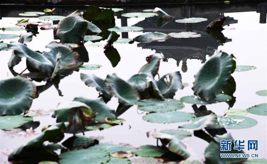 지난 18일 다밍호(大明湖) 연못 안에 드리워진 차오란러우(超然樓) 그림자 [사진 출처: 신화망]