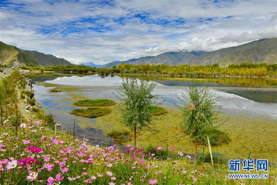 지난 14일 촬영한 진써츠탕(金色池塘) 생태 관광지 풍경 [사진 출처: 신화망]
