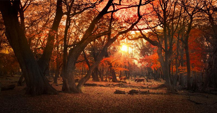 후이난(輝南) 룽완(龍灣)의 아름다운 가을 풍경 [사진 출처: 인민망]