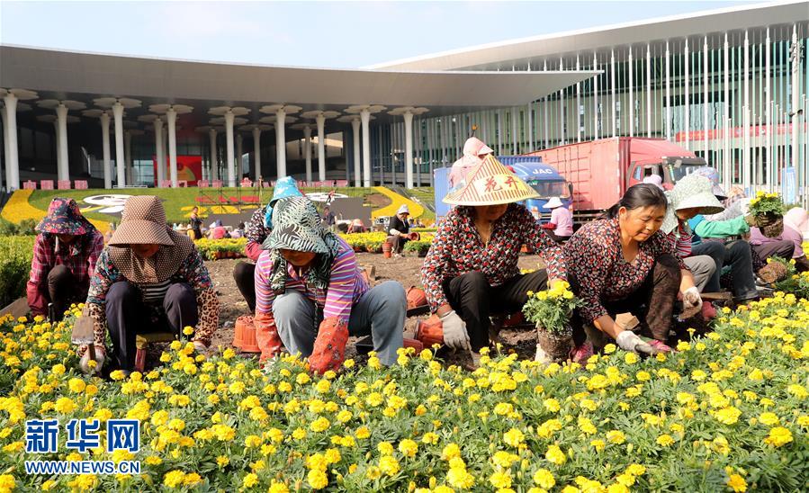 국가컨벤션센터(상하이) 남쪽 광장을 박람회 꽃장식으로 꾸민다. [10월 21일 촬영/사진 출처: 신화망]