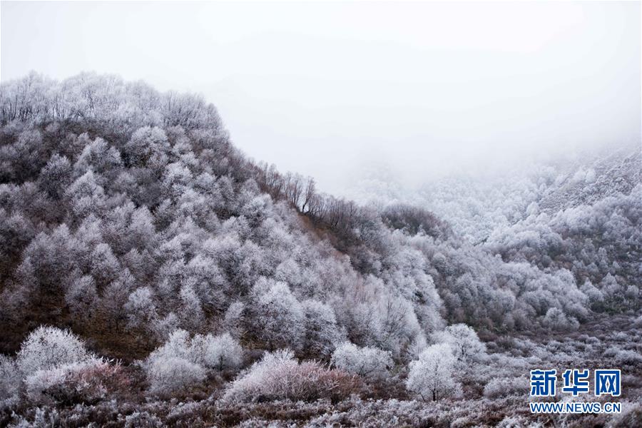 지난 24일 촬영한 췬자(群加)국가 산림공원 [사진 출처: 신화망]