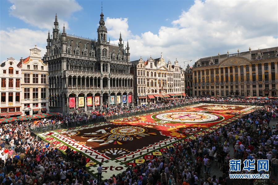 2018년 8월 17일 벨기에 브뤼셀 대광장에서 촬영한 꽃카펫 [사진 출처: 신화망]