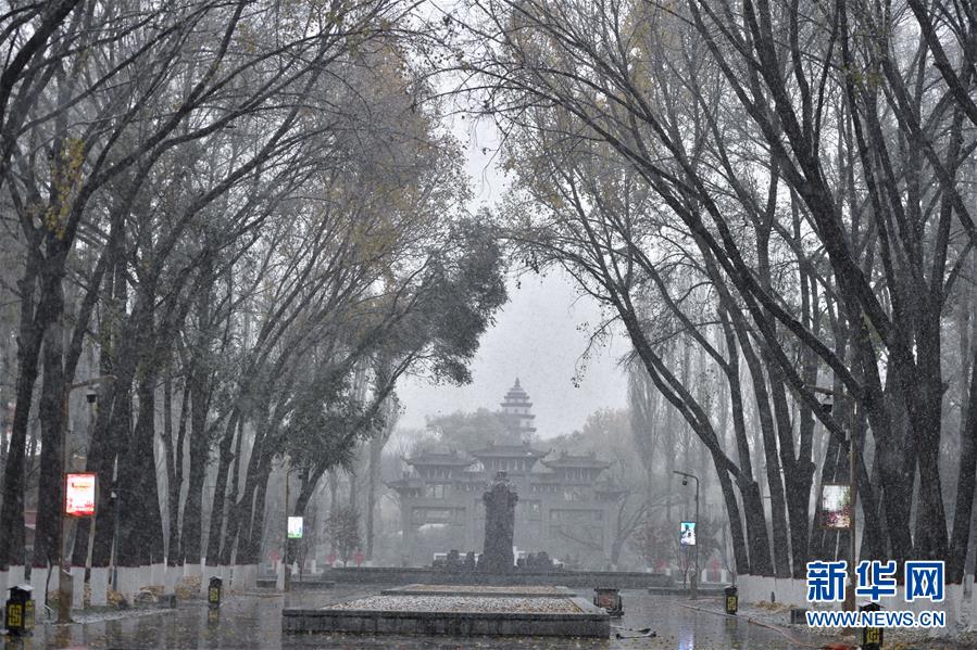 10월 31일 촬영한 눈 내리는 칭하이(靑海)성 시닝(西寧)시 인민공원 [사진 출처: 신화망]