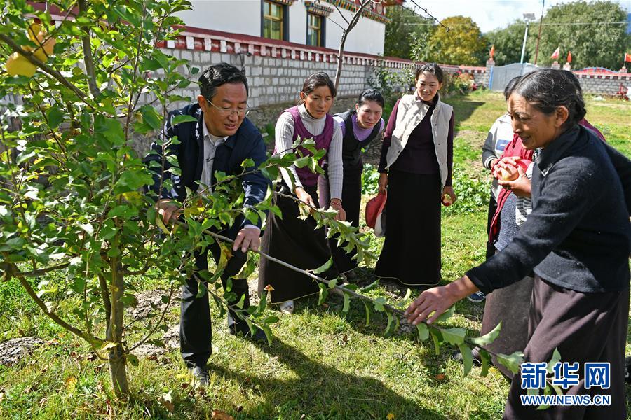 셰훙장 교수가 시짱 미린현 창나향 린바촌의 주민에게 사과 재배 기술을 설명하고 있다. [10월 27일 촬영/사진 출처: 신화망]