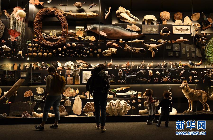 2019년 5월 15일 독일 프랑크푸르트 젠스켄버그 자연사박물관에서 관람객들이 ‘다양한 신기종’ 특별 전시를 관람하고 있다. [사진 출처: 신화망]