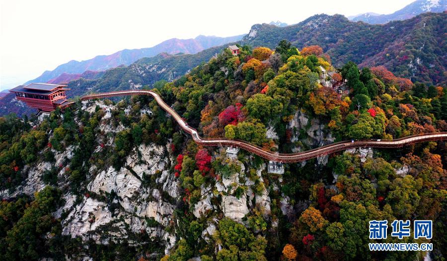 10월 31일 드론으로 촬영한 산시(陜西) 사오화산(少華山) 가을 풍경 [사진 출처: 신화망]