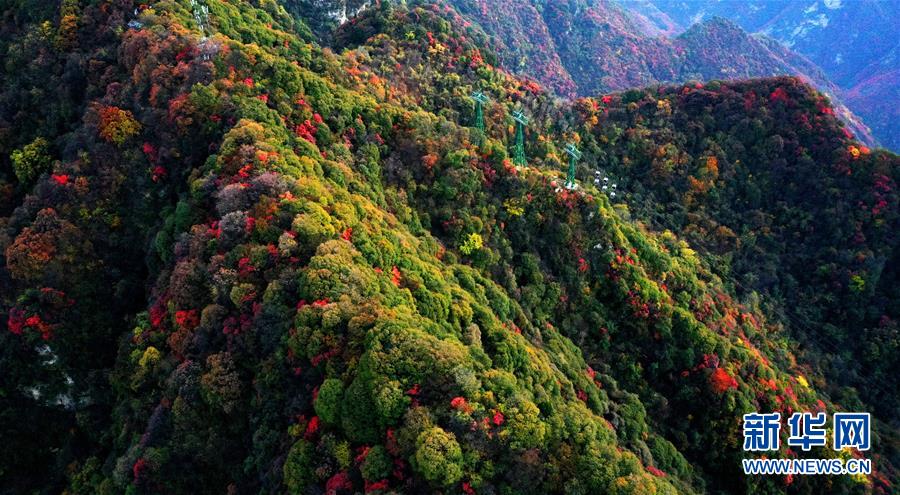 10월 30일 드론으로 촬영한 산시(陜西) 사오화산(少華山) 가을 풍경 [사진 출처: 신화망]