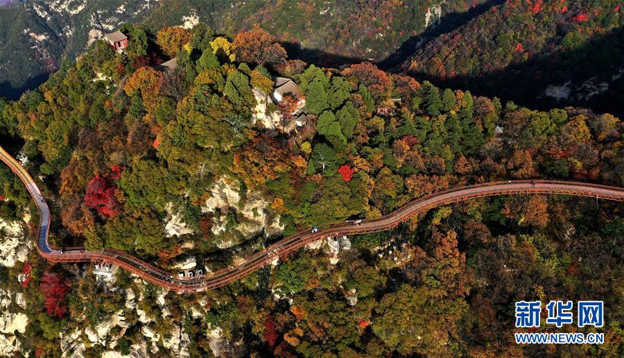 10월 30일 드론으로 촬영한 산시(陜西) 사오화산(少華山) 가을 풍경 [사진 출처: 신화망]