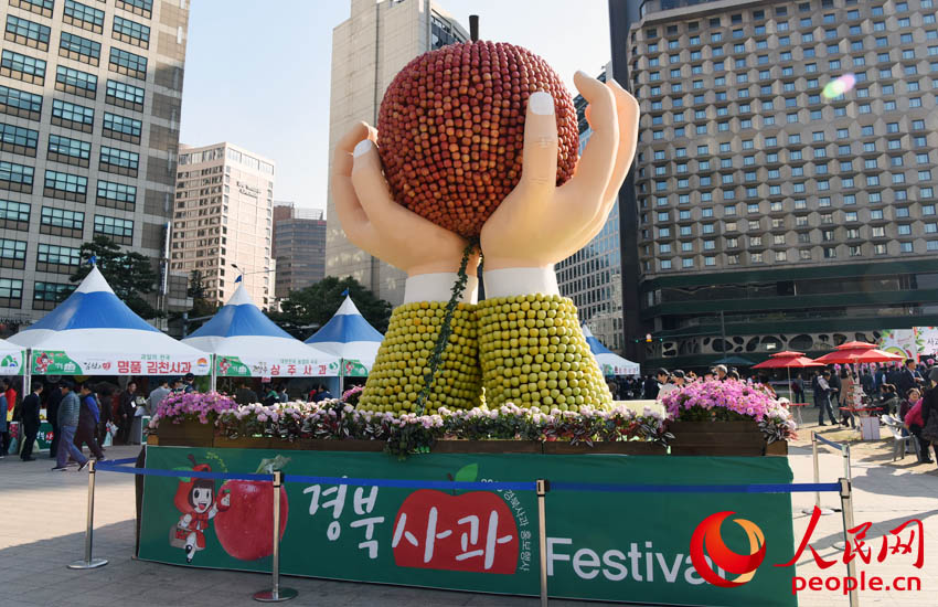 서울광장에서 고품격 사과 향연인 '2019 경북사과 Festival'이 열렸다 촬영:배준기