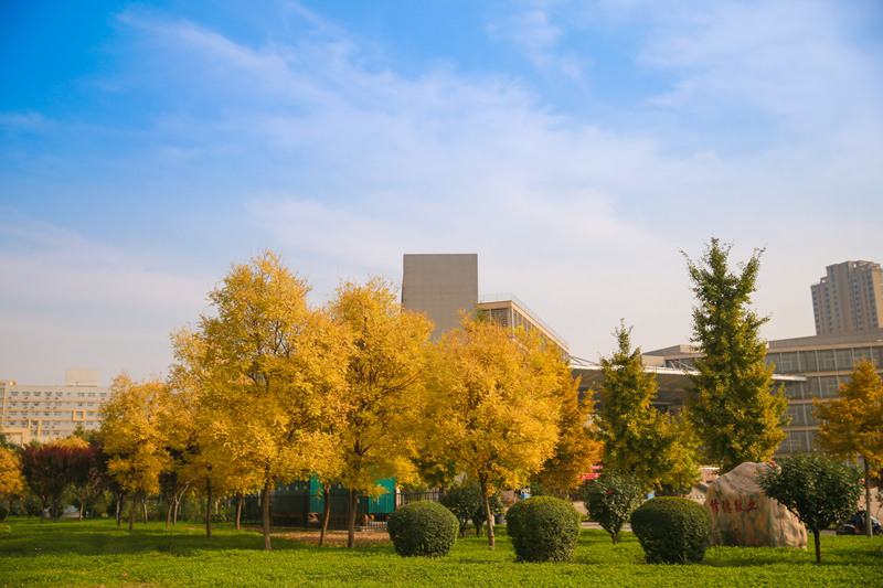 시안(西安)공업대학교에서 제일 아름다운 시궁(西工)에 가을빛이 강렬하다. [사진 출처: 인민망]