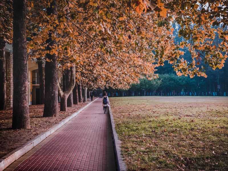다롄(大連)이공대학교 캠퍼스에서 가을들이 속삭인다. [사진 출처: 인민망]