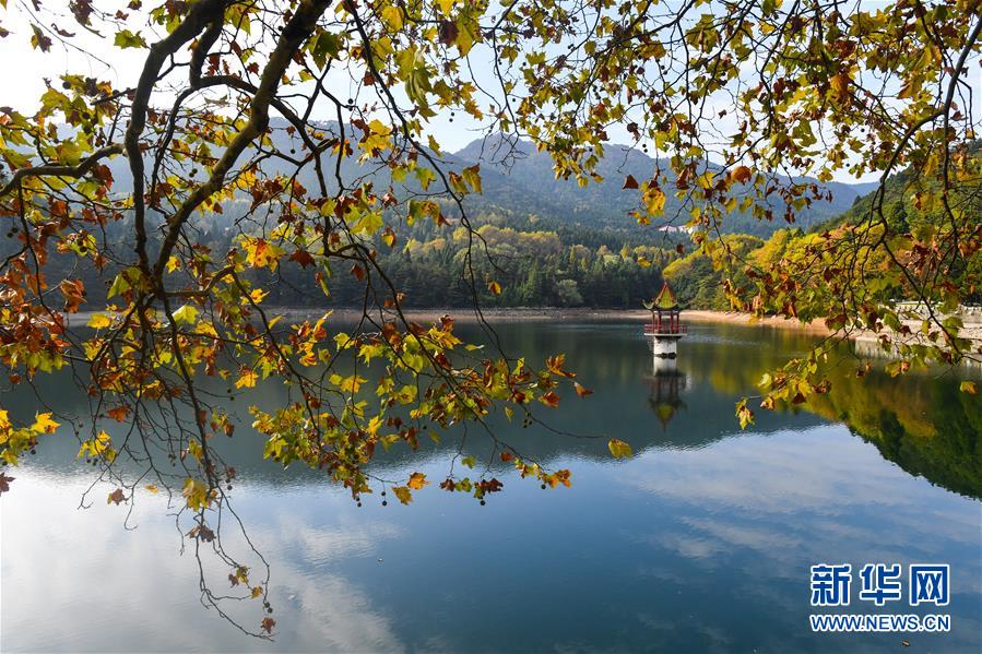 10월 10일 루산(廬山)산 관광지에서 촬영한 루린(蘆林)호 [사진 출처: 신화망]