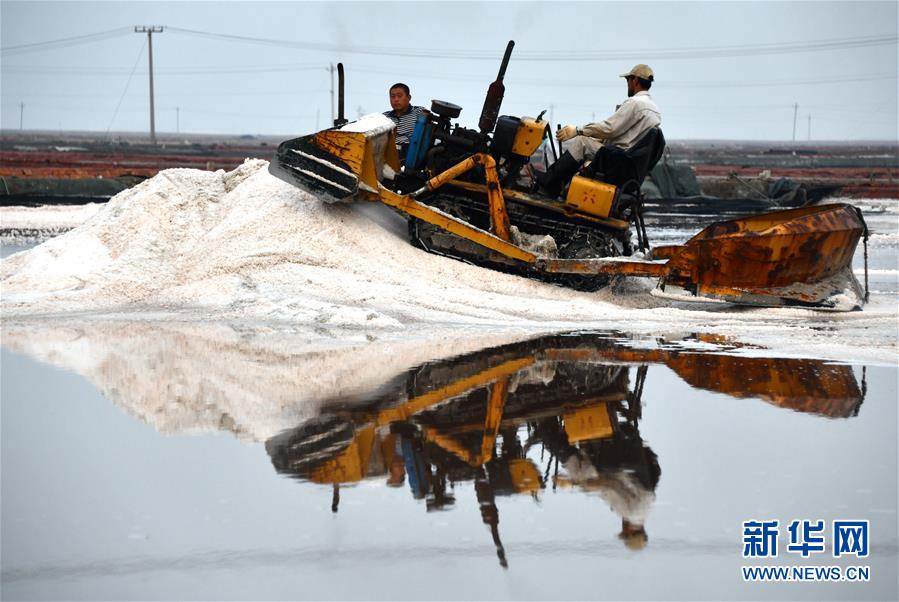 루베이(魯北) 염전에서 인부들이 해염을 수확하고 있다. [10월 9일 드론 촬영/사진 출처: 신화망]