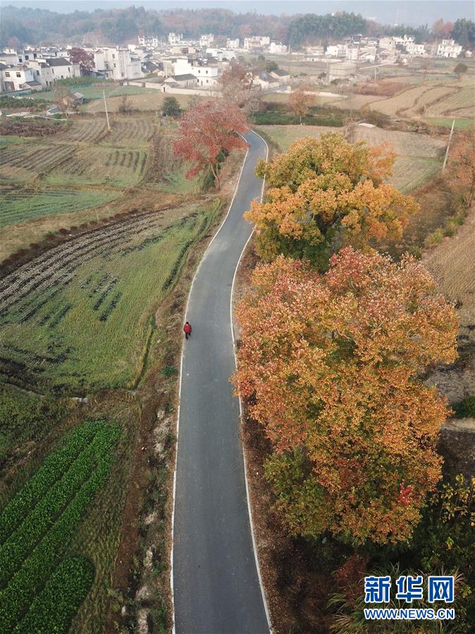 11월 8일 드론으로 촬영한 타촨(塔川) 관광지 인근 마을 길 [사진 출처: 신화망]