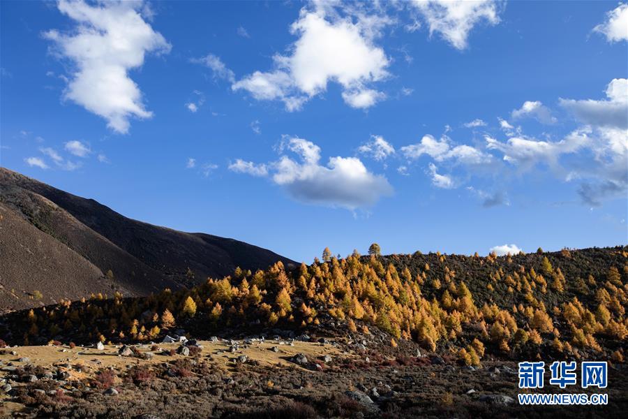 쓰촨 샹청, 가을 햇살 아래 고원 풍경