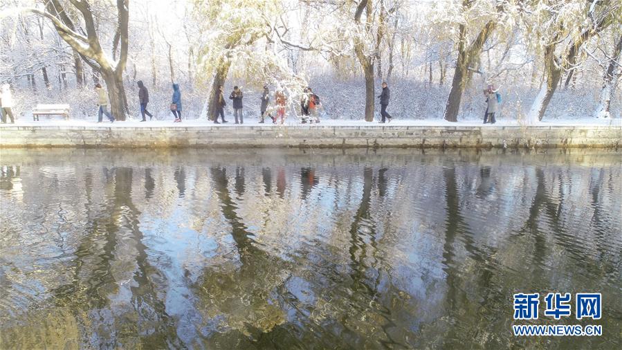 지난 15일 선양(沈陽)시 베이링(北陵)공원에서 한 시민이 풍경을 감상하고 있다. [드론 촬영/사진 출처: 신화망] 