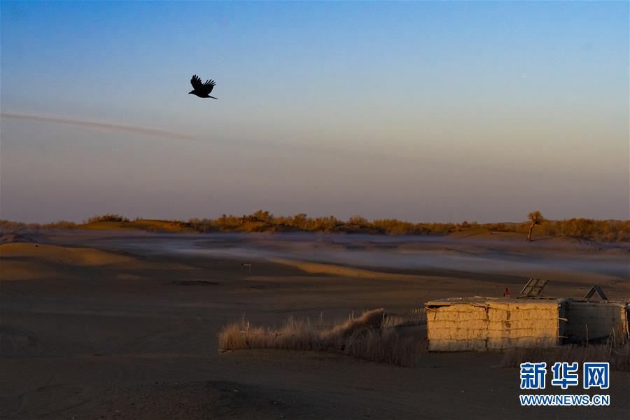 커리야허(克里雅河)강 다리야부이(達里雅布依) 오아시스에서 촬영한 햇살 내리쬐는 전통 민가 모습 [11월 13일 촬영/사진 출처: 신화망]