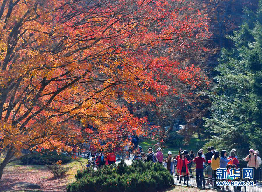지난 17일 관광객들이 루산(廬山) 식물원을 관람하고 있다. [사진 출처: 신화망]