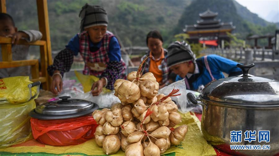 광시 링윈현 하오쿤 마을 주민들이 관광단지에서 과일을 준비해 관광객들을 맞이한다. [11월 24일 촬영/사진 출처: 신화망]