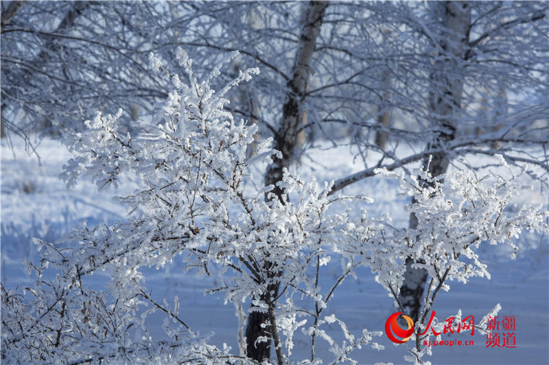 [11월 28일 촬영/사진 출처: 인민망]